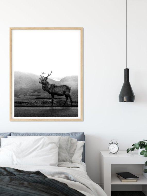 Deer | Art Print