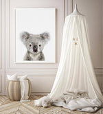 Baby Koala | Art Print