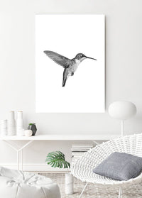 Hummingbird | Art Print