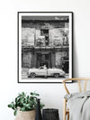 Albert | Art Print