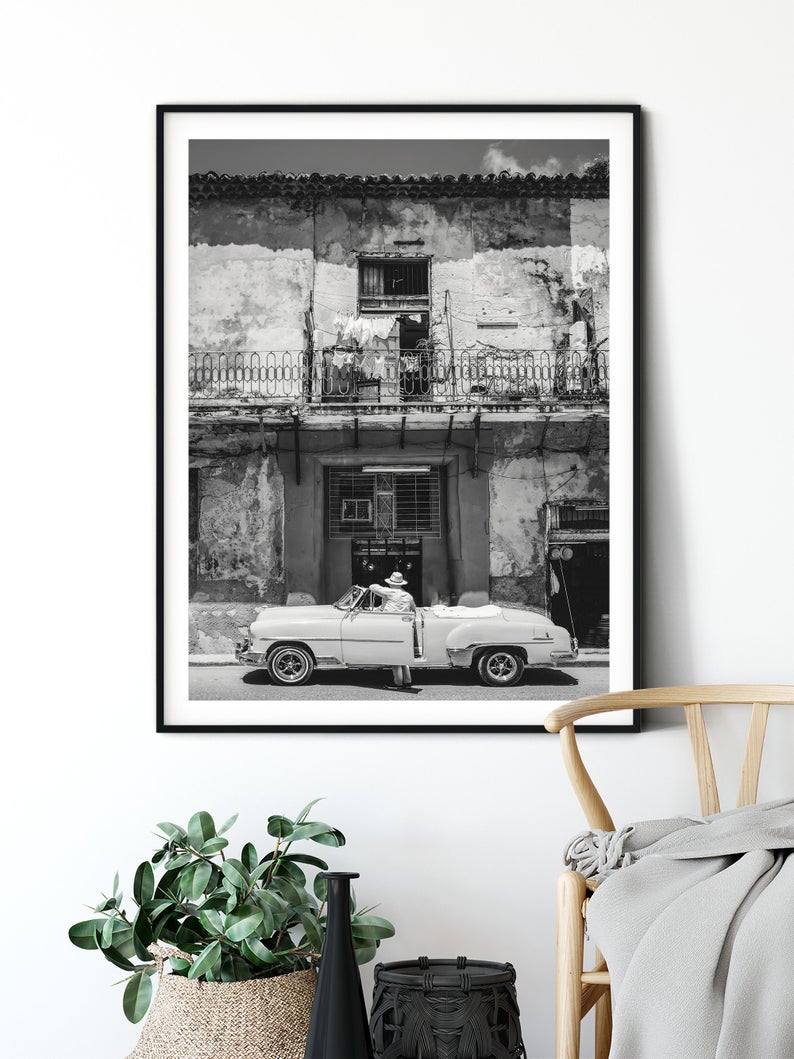 Albert | Art Print