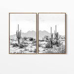 Desert Cactus | Canvas Print