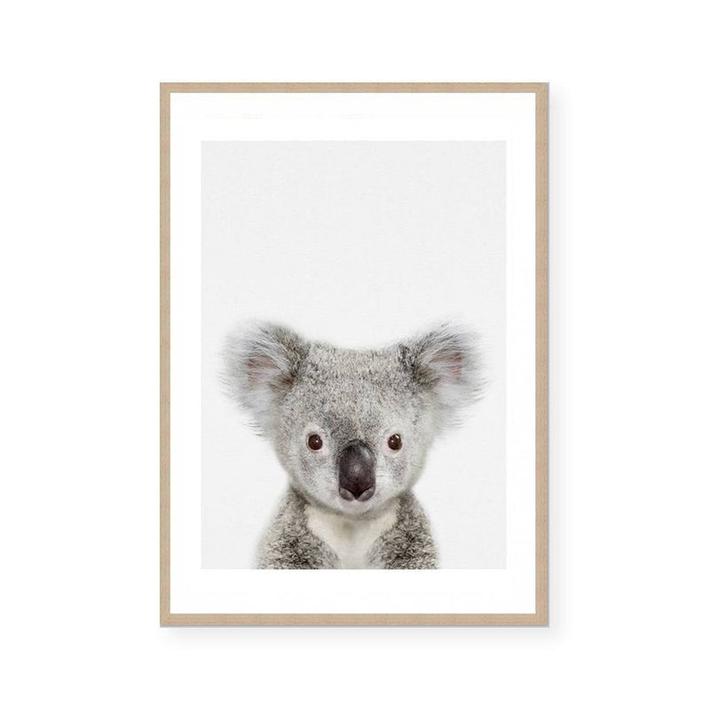 Baby Koala | Art Print