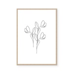 Tulips | Line Art | Art Print
