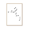 Birds | Art Print