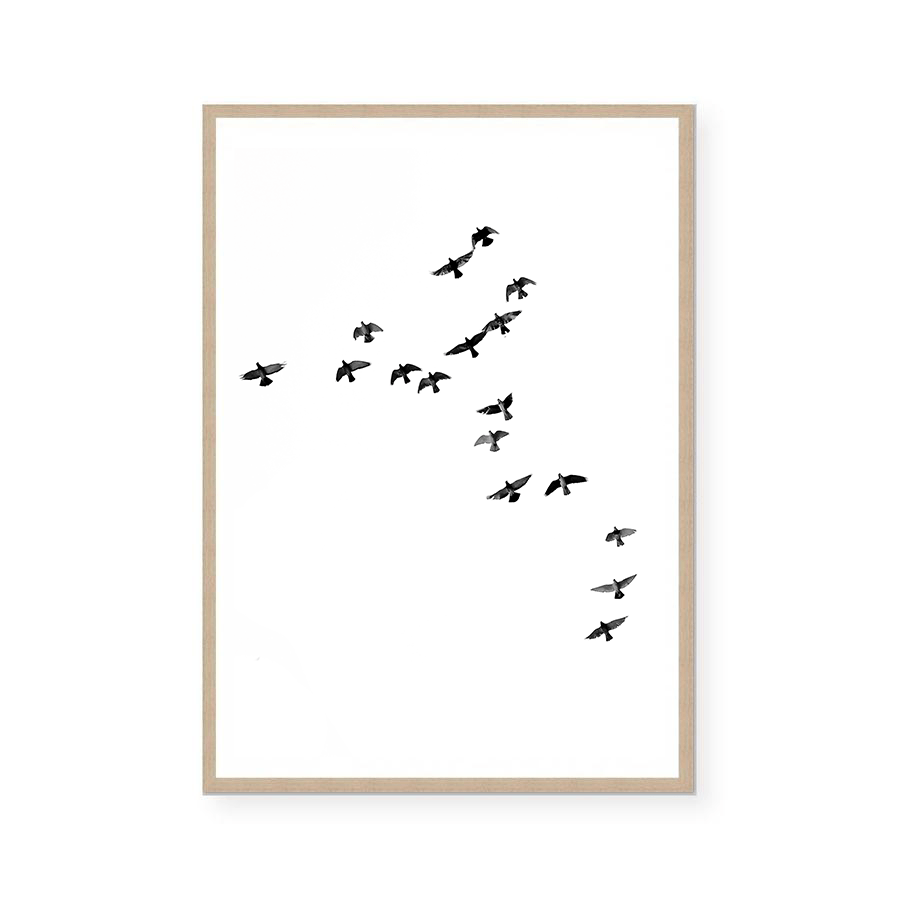Birds | Art Print