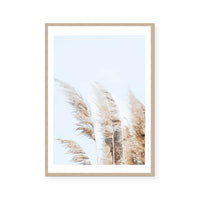 Beach Pampas | Art Print