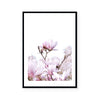 Magnolia | Art Print