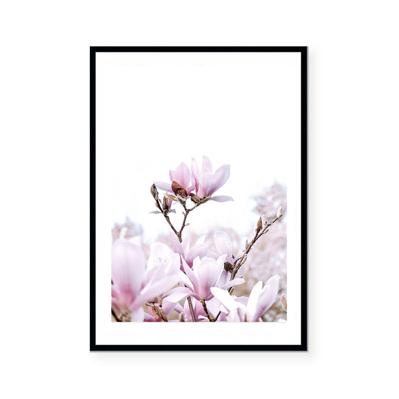 Magnolia | Art Print