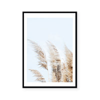 Beach Pampas | Art Print