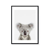 Baby Koala | Art Print