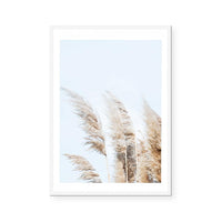 Beach Pampas | Art Print