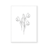 Tulips | Line Art | Art Print