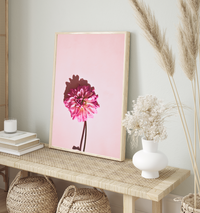 Pink Dahlia | Art Print