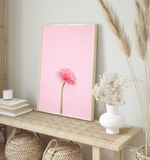 Pink Gerbera | Art Print