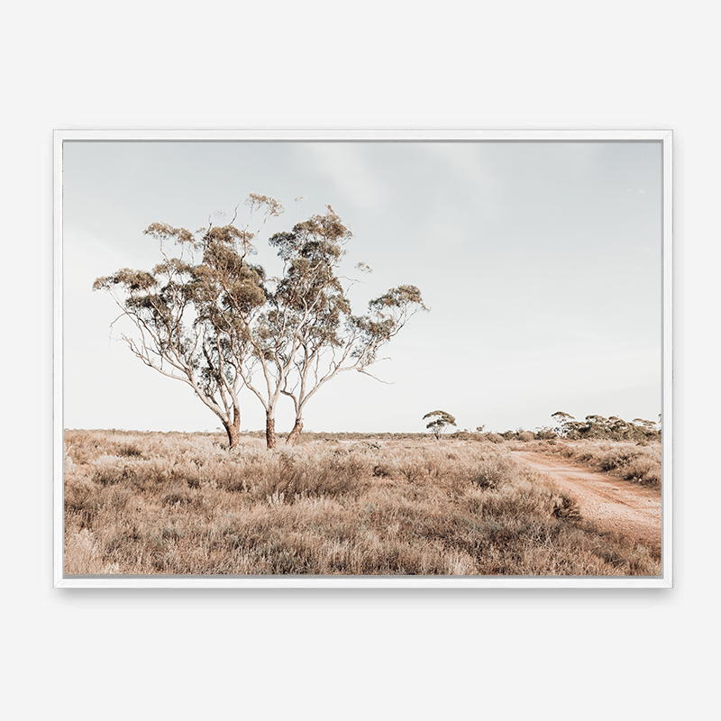 Outback Bush | Australian Landscape | Canvas Print