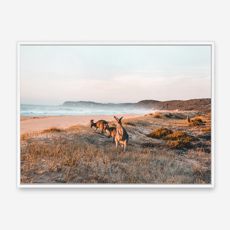Kangaroos At Shore | Canvas Print