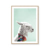 Llama | Art Print