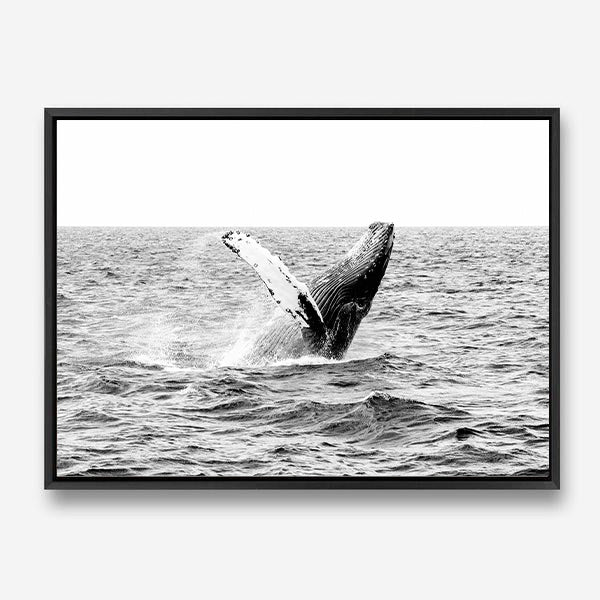 Whale | Canvas Print