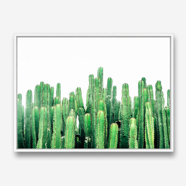 Coen | Canvas Print