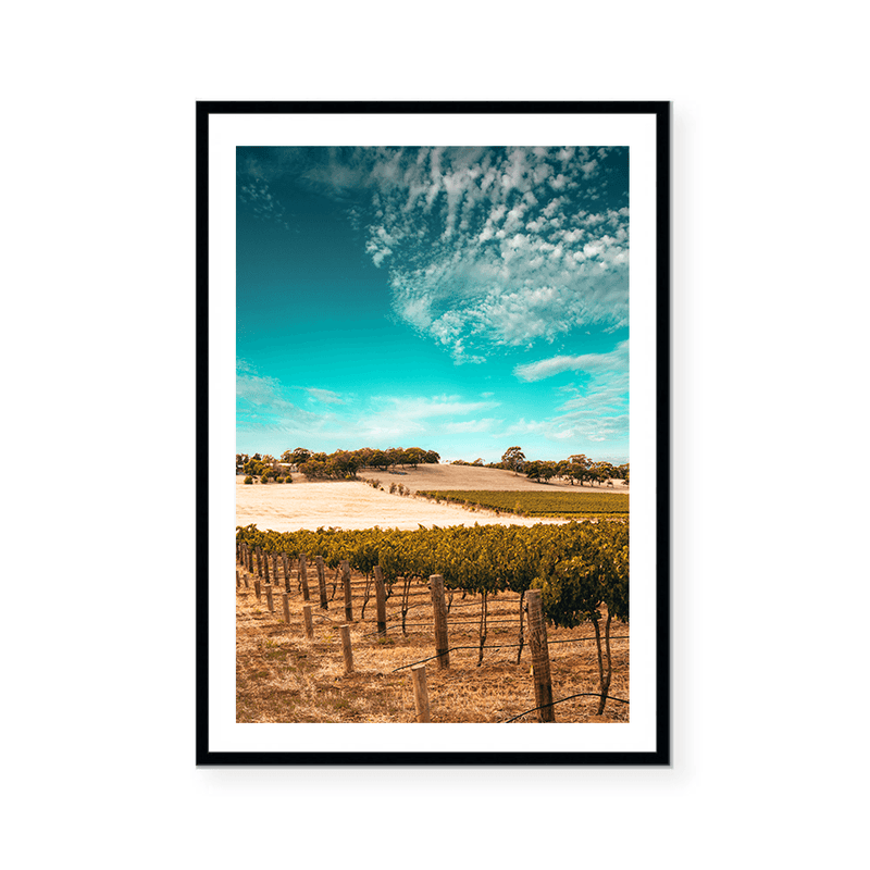 Australian Vineyard | Art Print