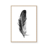 Feather | Art Print