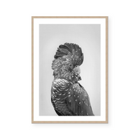 Coralie | Art Print