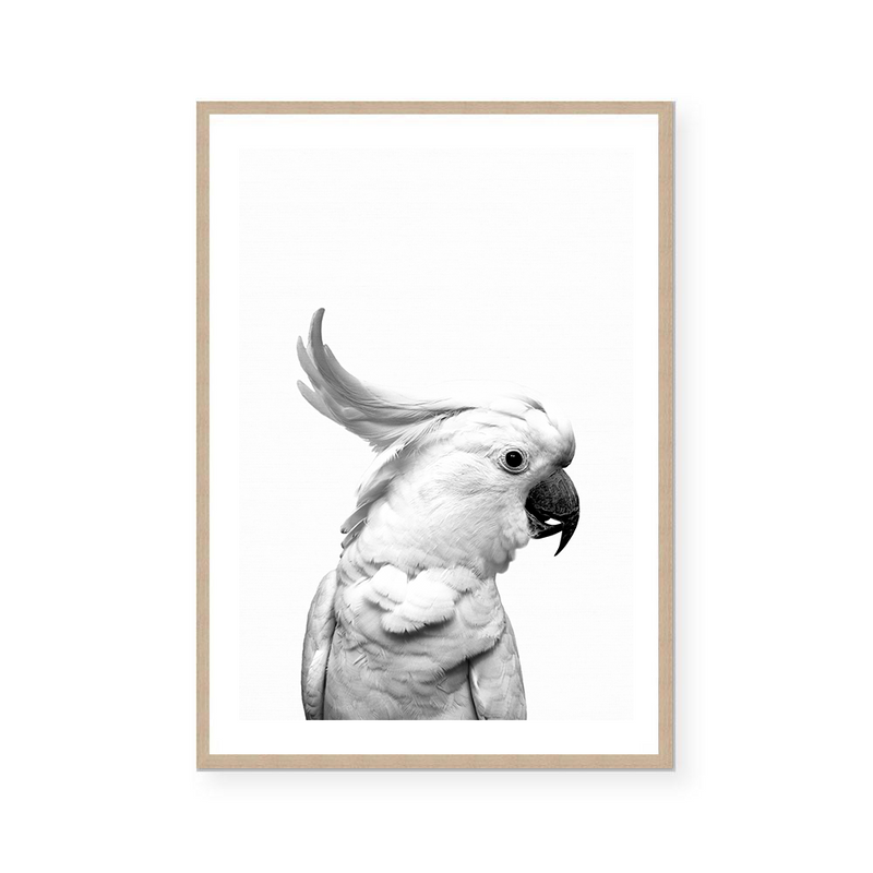 Cockatoo | Art Print
