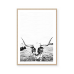 Steer | Art Print
