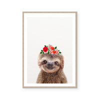 Baby Sloth | Art Print