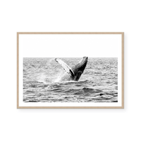 Whale | Art Print