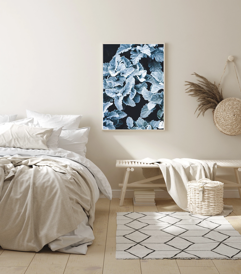 Cineraria | Art Print