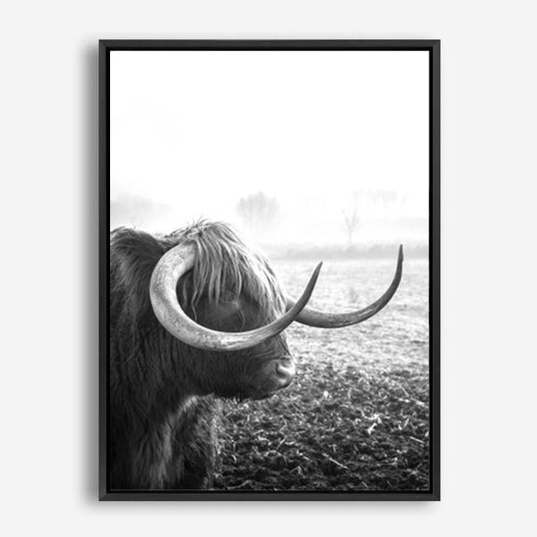 Highland Cow | Canvas Print