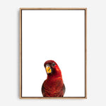 Parrot | Canvas Print