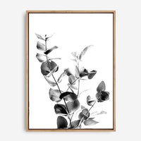Indie I | Canvas Print