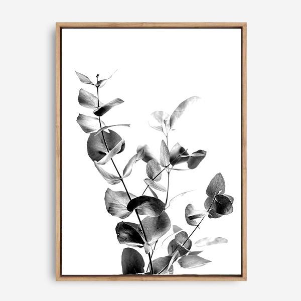 Indie I | Canvas Print