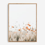 Poppies II | Canvas Print