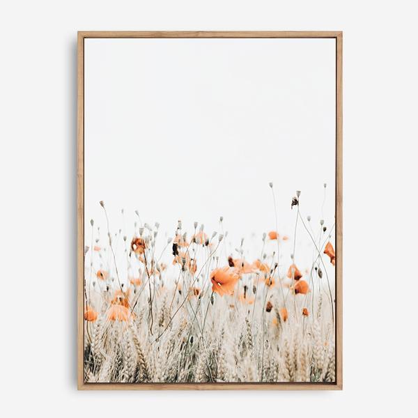 Poppies I | Canvas Print