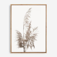 Pampas Grass | Canvas Print