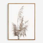 Pampas Grass | Canvas Print
