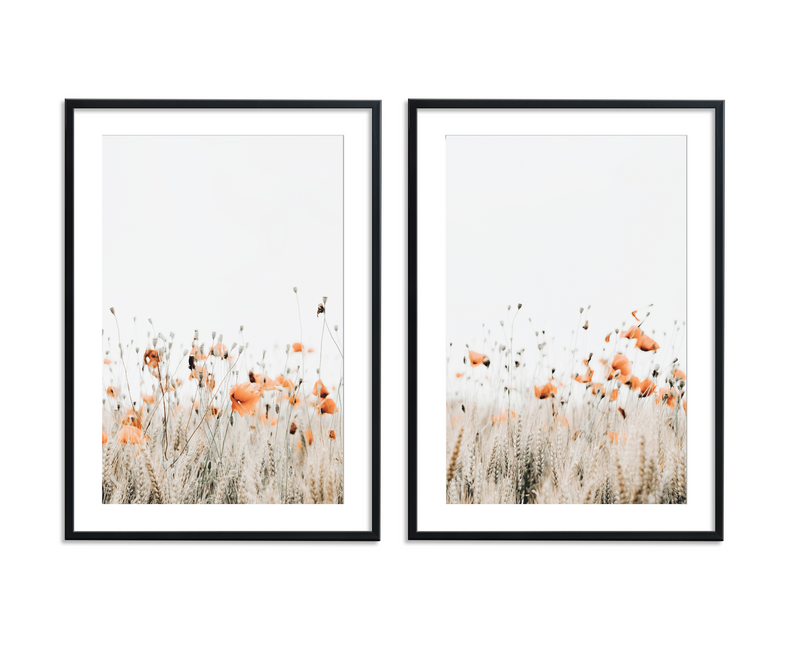 Poppies | Art Print