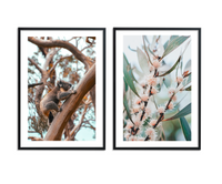 Australian Outback Pair | Art Print