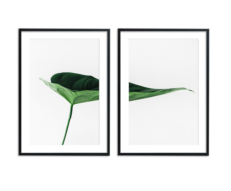 Tropical Leaf | Art Print