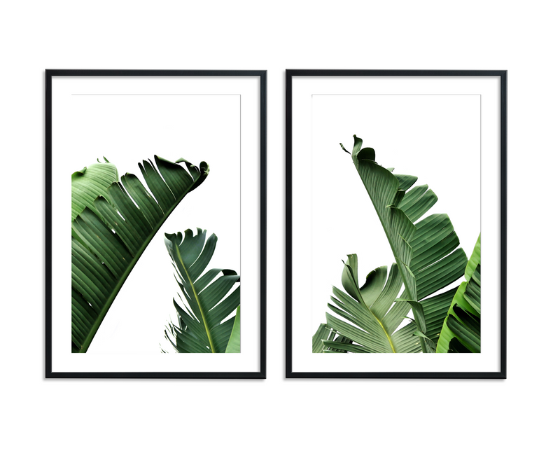 Jungle Tropics | Art Print
