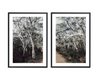 Australian Forest II | Art Print