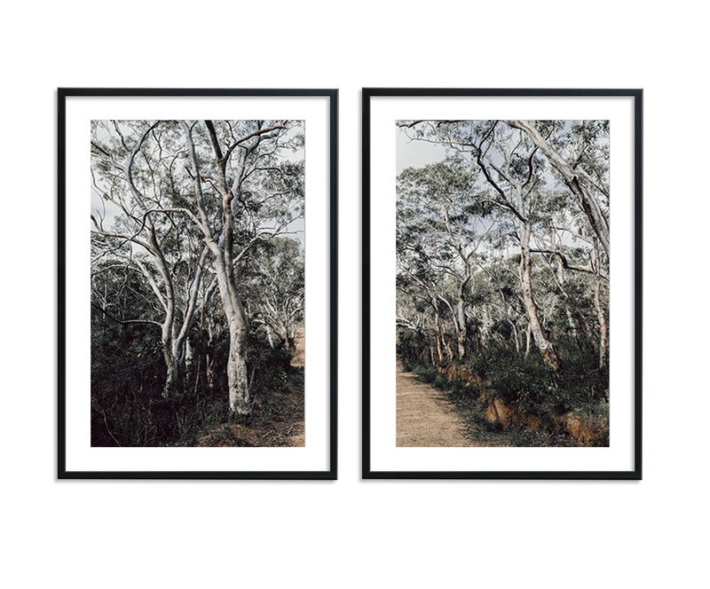Australian Forest II | Art Print