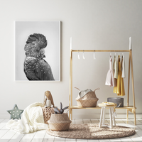 Coralie | Art Print