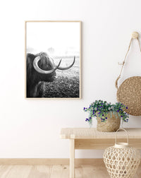 Highland Cow | Art Print