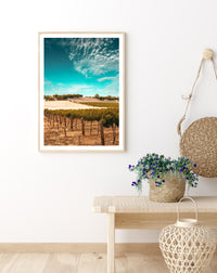 Australian Vineyard | Art Print