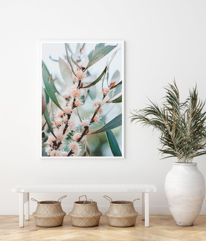 Native Flora | Art Print